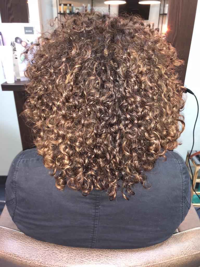 Droog knippen Salon The Art Of Style